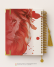 Bíblia Personalizada Leão – Capa yeshua vermelho